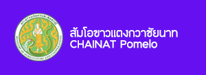 DOA Logo